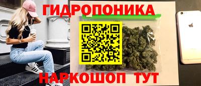 apvp Славгород