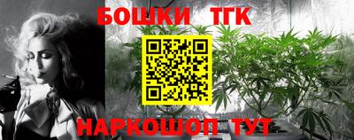 apvp Славгород