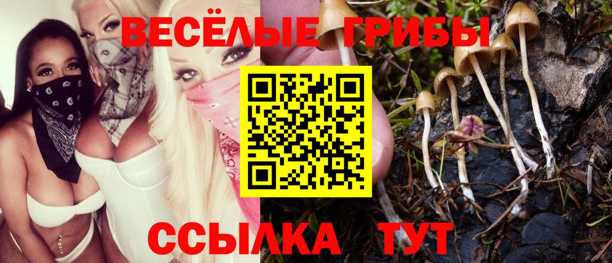 Галлюциногенные грибы GOLDEN TEACHER  где продают наркотики  Павлово  Вход с VPN 