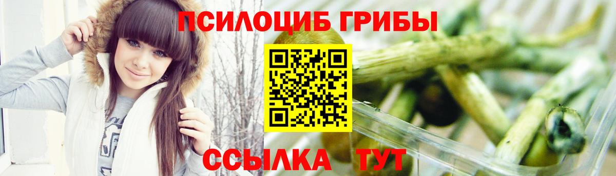Псилоцибиновые грибы GOLDEN TEACHER Павлово